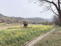 -黄陂区野村谷景区