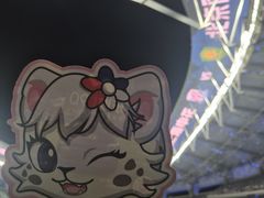 -上海体育场