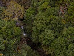 -石台牯牛降景区