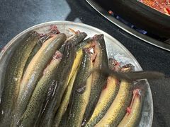 -铜元老码头鳝鱼火锅