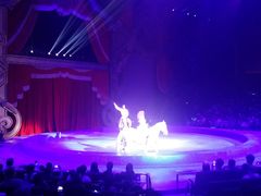 -珠海横琴长隆《卡卡虎奇遇记》