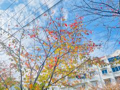 -永乐路-路侧停车场