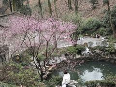 -永泉忆江南12景区
