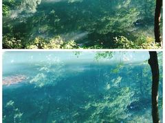 -黑色经典臭豆腐·湖南特产(步行街店)