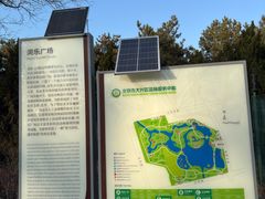 -大兴滨河森林公园