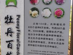 -洛阳市隋唐城遗址植物园