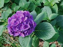 -常州古运河南大街文化旅游区-人民公园