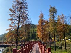 -广州市石门国家森林公园