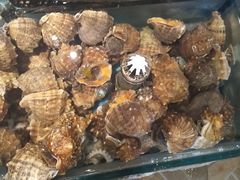 -福来齐·鲁菜海鲜·渔家菜(朝阳街分店)