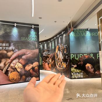 领展广场又上围挡了，有人知道几号开业吗