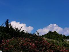 -贵阳市花溪国家城市湿地公园