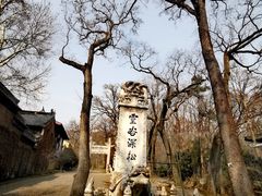-灵谷景区