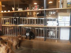 -萌喵咖啡屋(人民东路4号口M16商铺店)