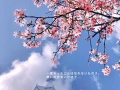 -海珠湖公园