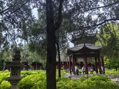 -洛阳白马寺
