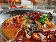 -拾久(朝阳公园店)