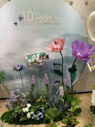 -dōTERRA多特瑞精油生活馆