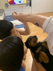 -飛凡TATTOO纹身•原创