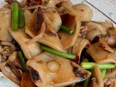 笔管鱼烧五花肉-船歌·鱼水饺青岛菜(金狮广场店)