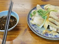 -九斤黄三黄鸡专卖店