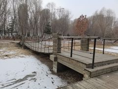 -长白岛森林公园