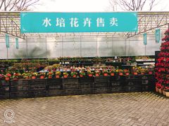 -保利石象湖景区