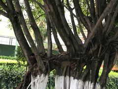 -西昌邛海宾馆