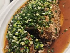 煎烧黄河大鲤鱼-东华大酒楼(主楼店)
