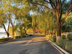 -丁香湖公园