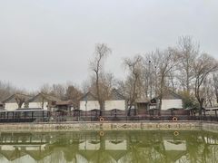 -尚庄度假村·庭台树下·户外烧烤·团建CS·轰趴营地(上庄水库店)