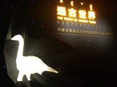 景点-内蒙古博物院