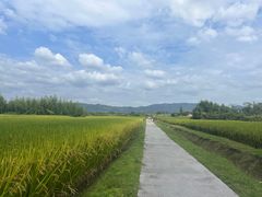 -良渚文化村