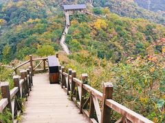 -大岭沟猕猴桃谷风景区