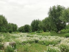 -汉长安城未央宫国家考古遗址公园