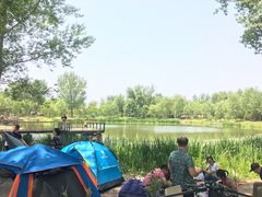 -东郊湿地公园