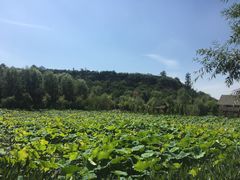 -渭南桃花源民俗文化园