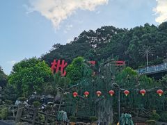 -枇杷园食为鲜火锅(南山店)
