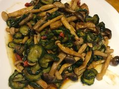 -金掌勺东北菜(格兰晴天店)