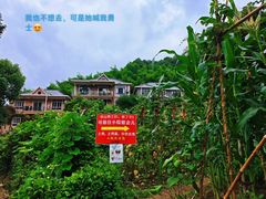 -午潮山国家森林公园