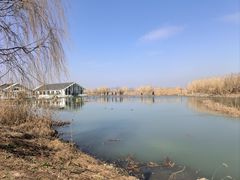 -同里国家湿地公园