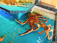 -蟹道乐(道顿堀本店)