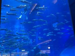 -成都浩海立方海洋公园