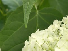 -三仟津花园咖啡馆