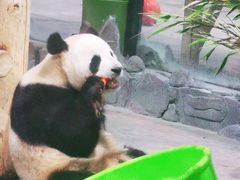 -栾川竹海野生动物园