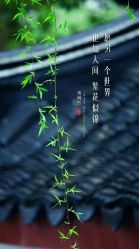 -薇光映画摄影美学馆