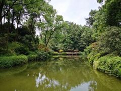 -南山植物园