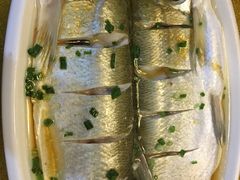 -呼吸森林·生态农庄农家乐私房菜