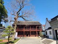 -上海醉白池公园