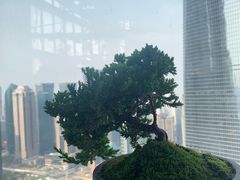 -上海观复博物馆