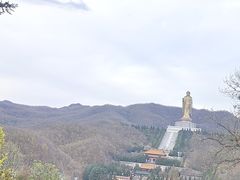 -中原大佛景区